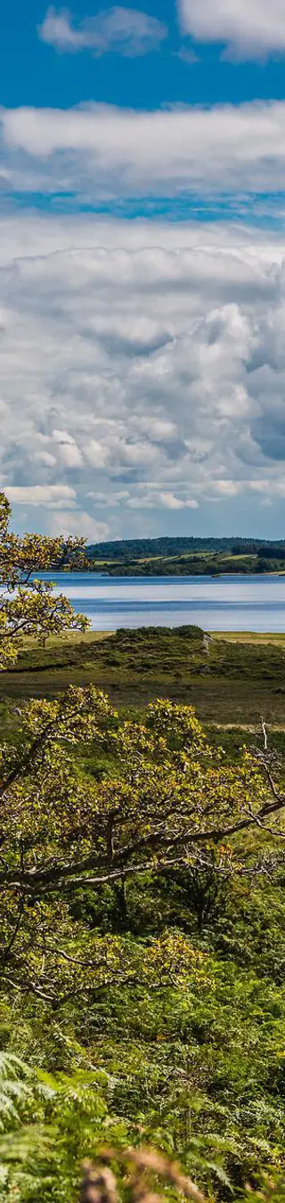 Connemara